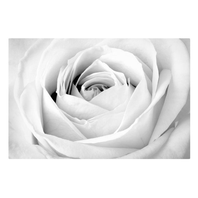 Tableaux sur toile en noir et blanc Close Up Rose