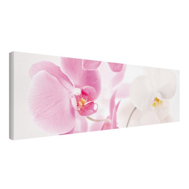 Tableau toile orchidée Orchidées délicates