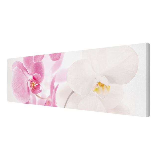 tableaux floraux Orchidées délicates