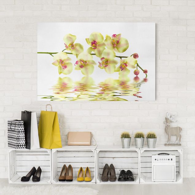 Tableau toile orchidée Dreamy Orchid Waters