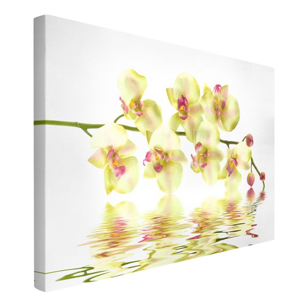 Tableaux moderne Dreamy Orchid Waters