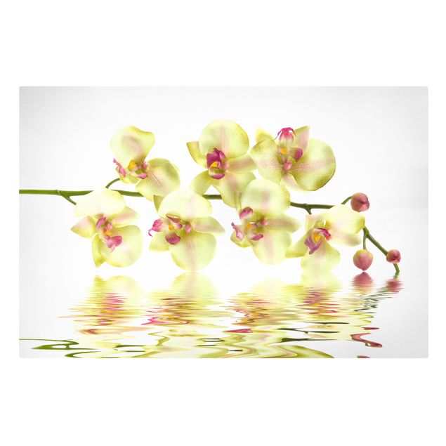 tableaux floraux Dreamy Orchid Waters