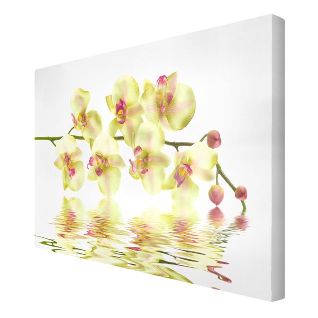 Tableau floral mural Dreamy Orchid Waters