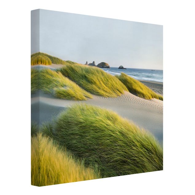 Tableaux sur toile avec dunes Dunes et herbes à la mer