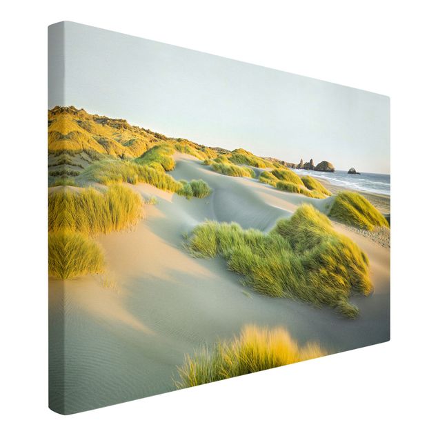 Tableaux sur toile avec dunes Dunes et herbes à la mer