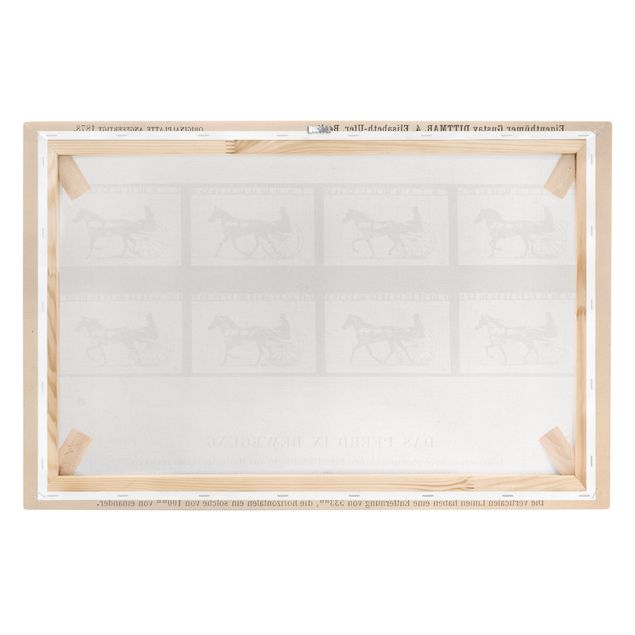 Tableaux reproduction Eadweard Muybridge - Le cheval en mouvement