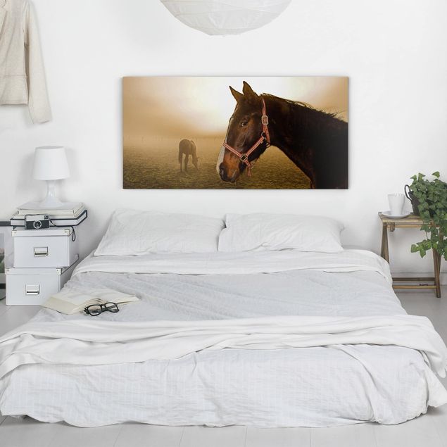Tableau toile chevaux Cheval précoce