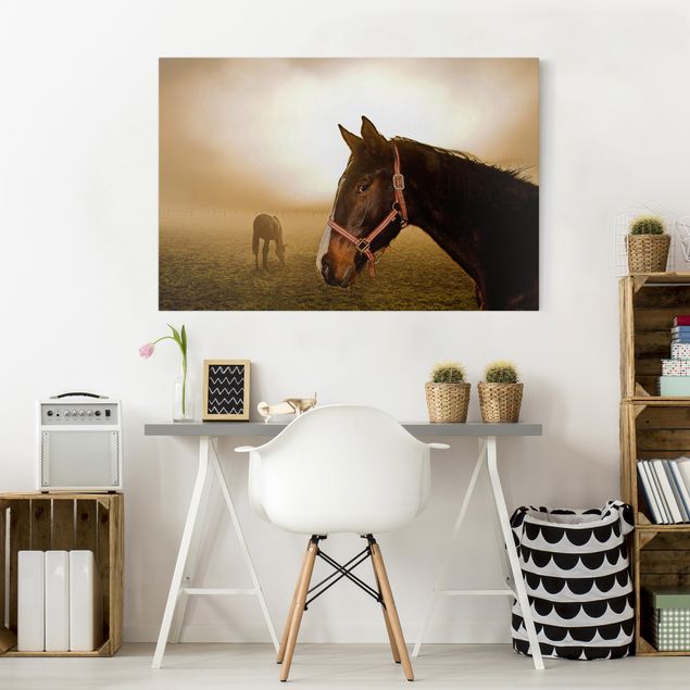 Tableau toile chevaux Cheval précoce