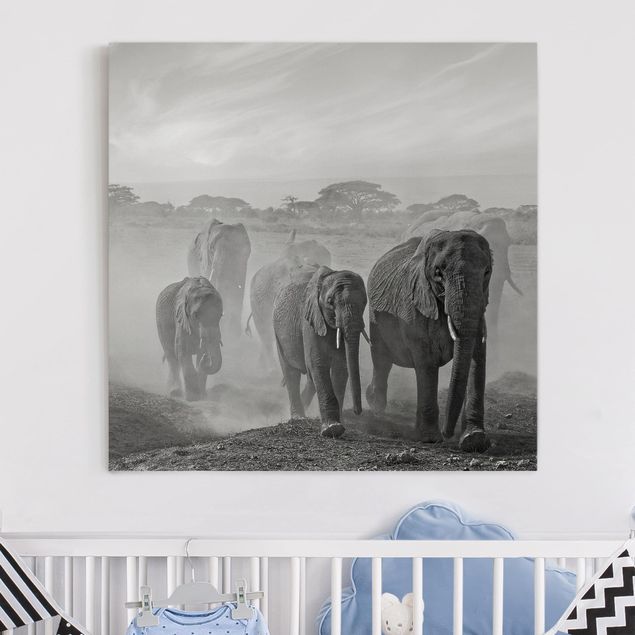 Déco murale cuisine Troupeau d'éléphants