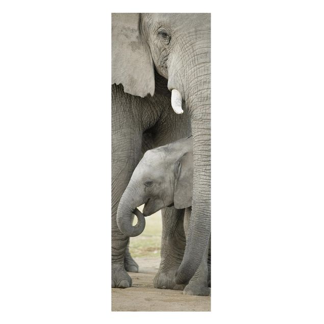 Tableau animaux Elephant Love