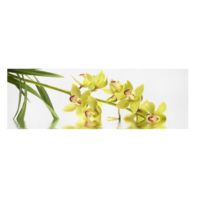 Tableaux moderne Eaux élégantes d'orchidées