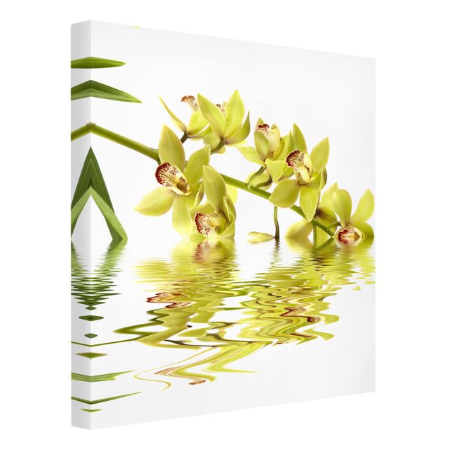Toile papillon Eaux élégantes d'orchidées