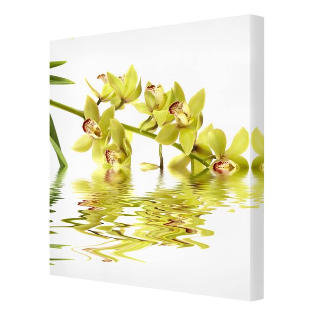 tableaux floraux Eaux élégantes d'orchidées