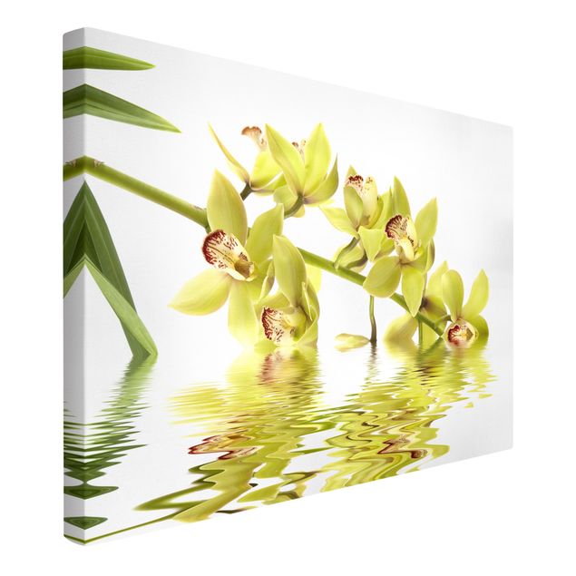 Toile papillon Eaux élégantes d'orchidées