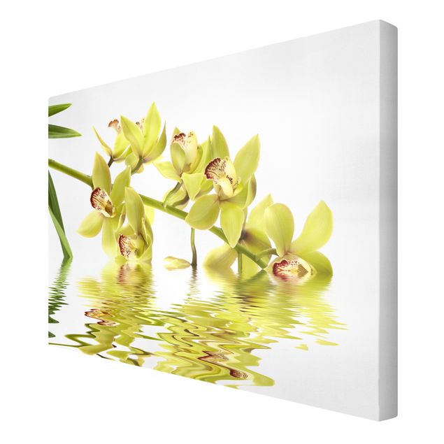 tableaux floraux Eaux élégantes d'orchidées