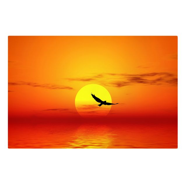 Tableaux oiseaux sur toile Fabuleux coucher de soleil