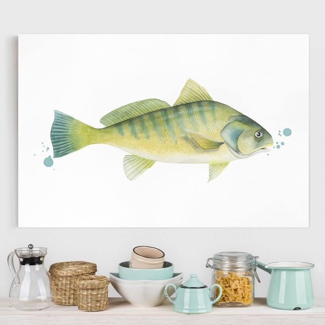 Tableau poissons Color Catch - Perche