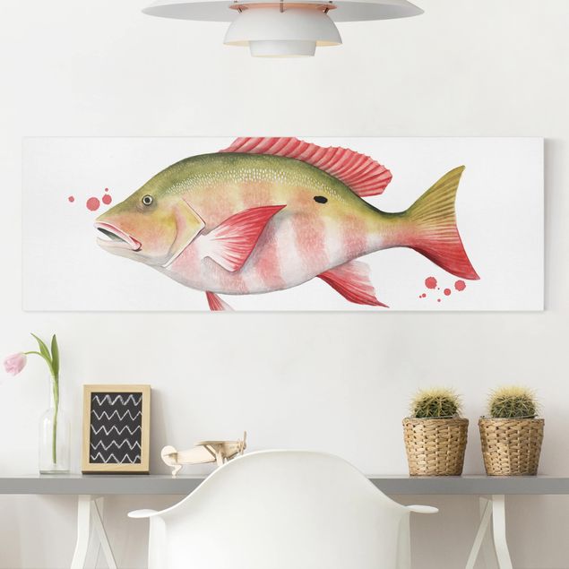 Tableau poissons Color Catch - Vivaneau rouge du Nord