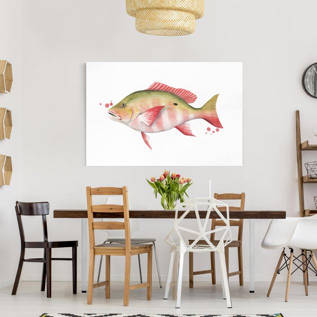 Toile poisson Color Catch - Vivaneau rouge du Nord