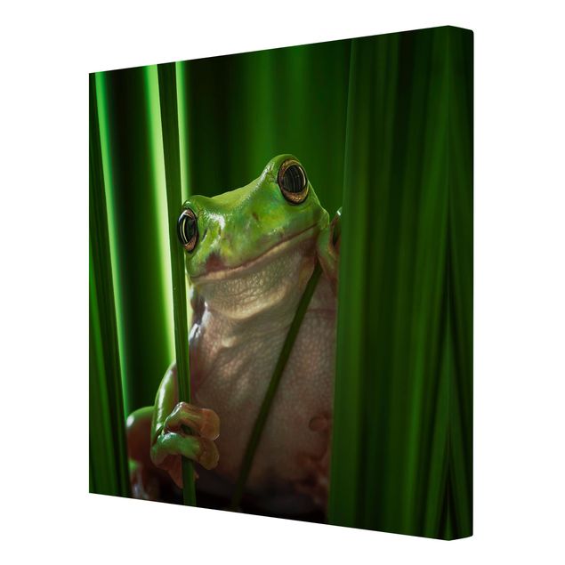Tableaux Merry Frog