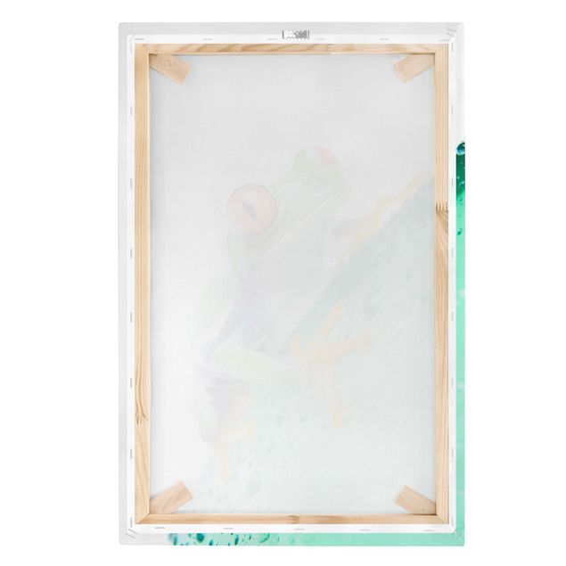 Tableaux toile Frog