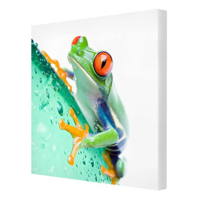 Tableaux Frog