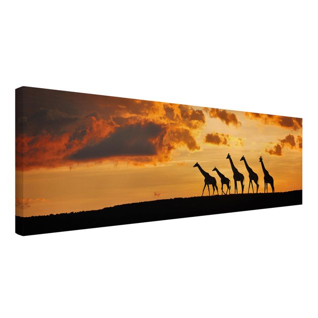 Tableau toile afrique Cinq Girafes