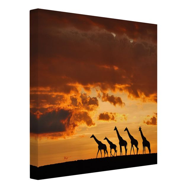 Tableau toile afrique Cinq Girafes
