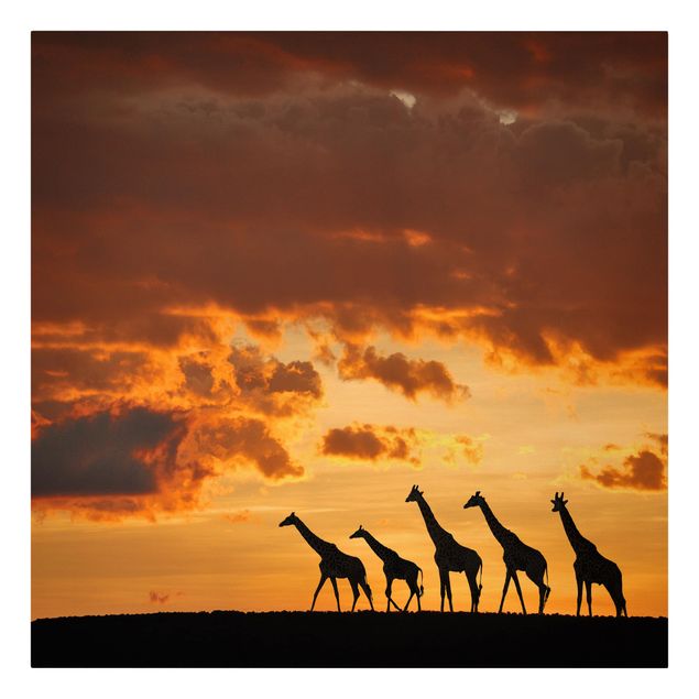 Toile girafe Cinq Girafes