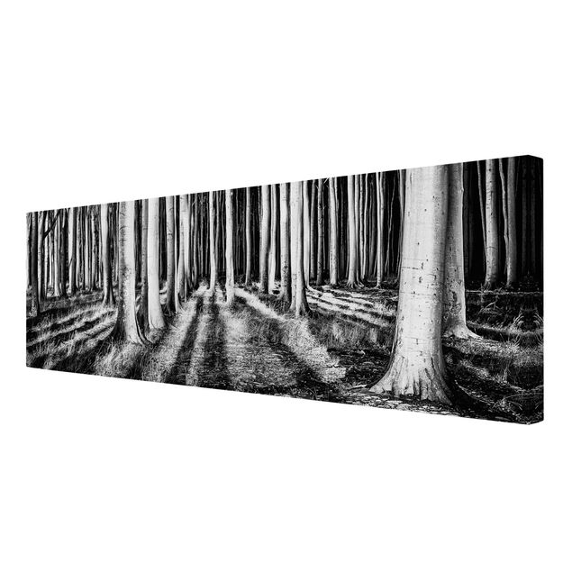 Tableaux sur toile en noir et blanc Forêt effrayante