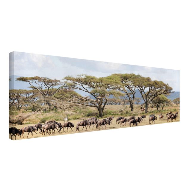 Tableau toile afrique Troupeau de gnous dans la savane