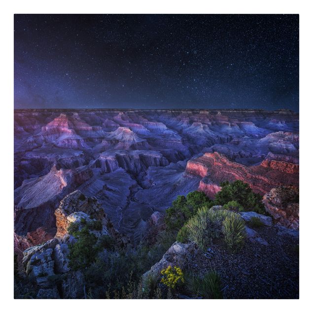 Tableaux modernes Grand Canyon Night