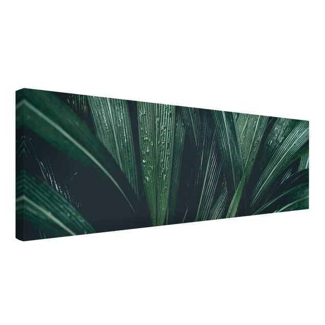 Tableaux florals Feuilles de palmier vertes