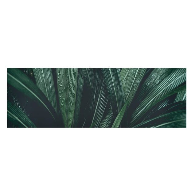 Tableaux verts Feuilles de palmier vertes