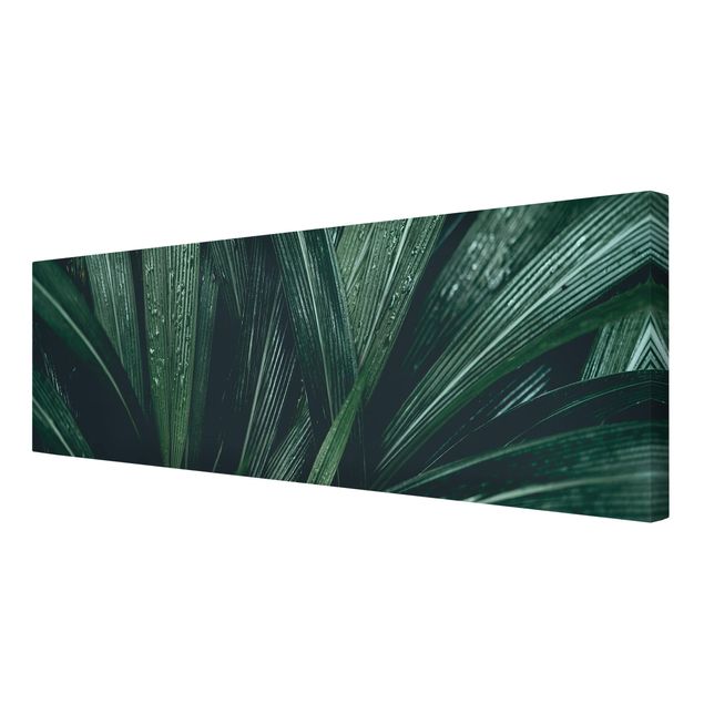 Tableaux Feuilles de palmier vertes