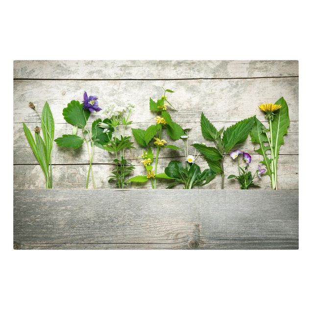 Tableaux florals Herbes médicinales et herbes des prés