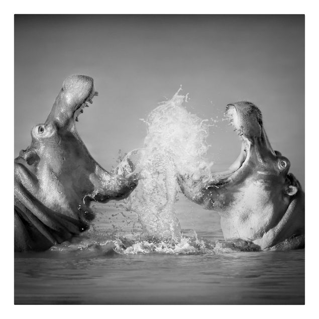 Tableaux animaux Hippo Fight