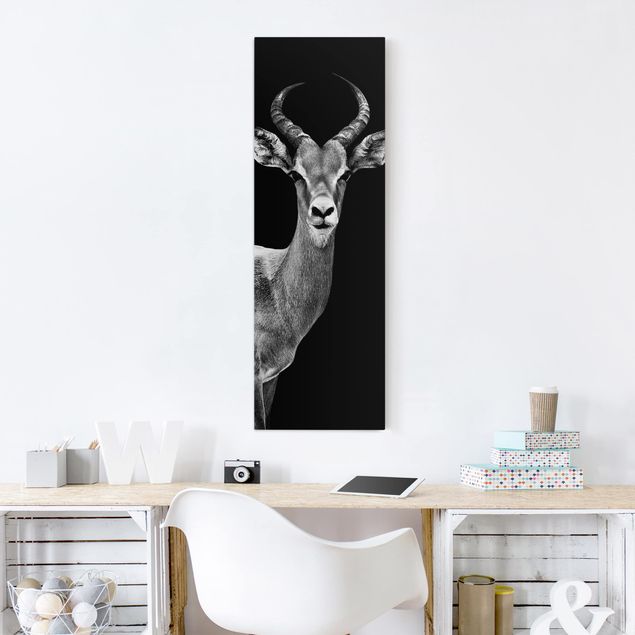 Tableaux sur toile en noir et blanc Antilope Impala noir et blanc