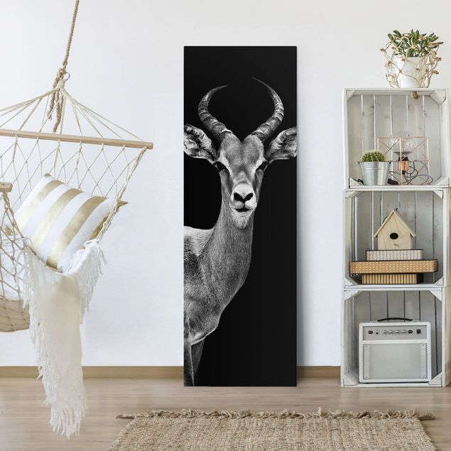 Tableaux moderne Antilope Impala noir et blanc