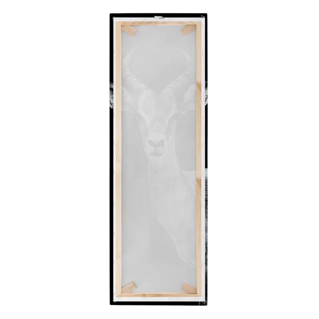 Toile murale Antilope Impala noir et blanc