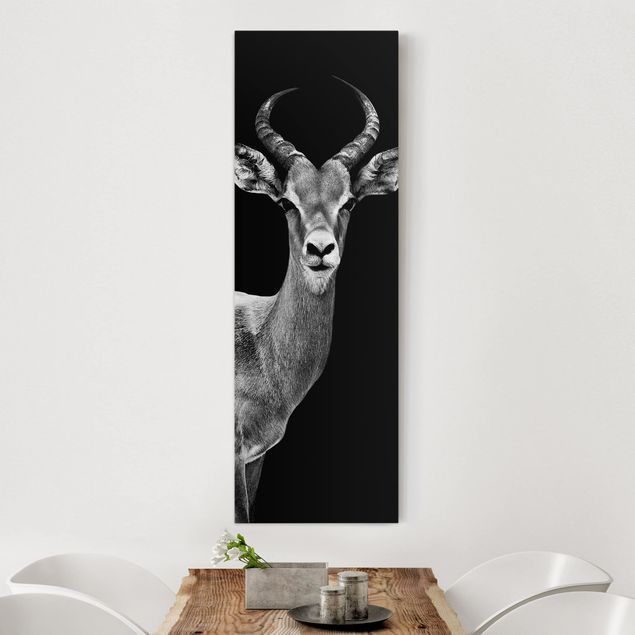 Déco mur cuisine Antilope Impala noir et blanc