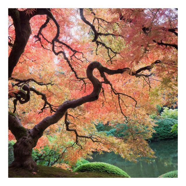 Tableau nature Jardin japonais