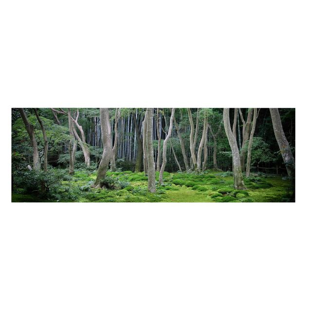 Tableaux nature Forêt japonaise