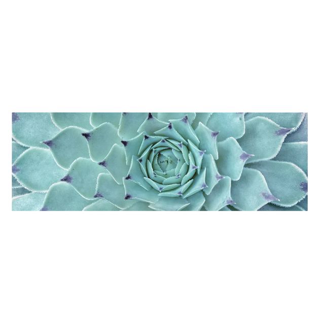 Tableau bleu turquoise Agave cactus