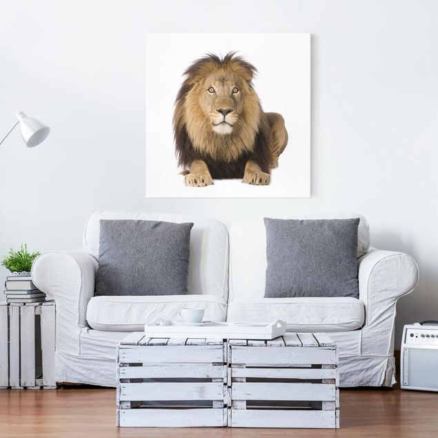 Tableau lions Roi Lion II
