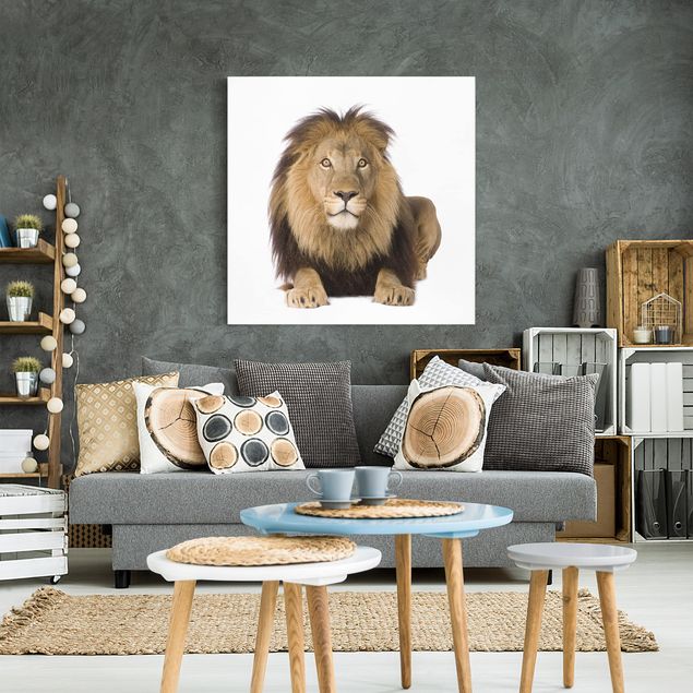 Tableau toile lion Roi Lion II