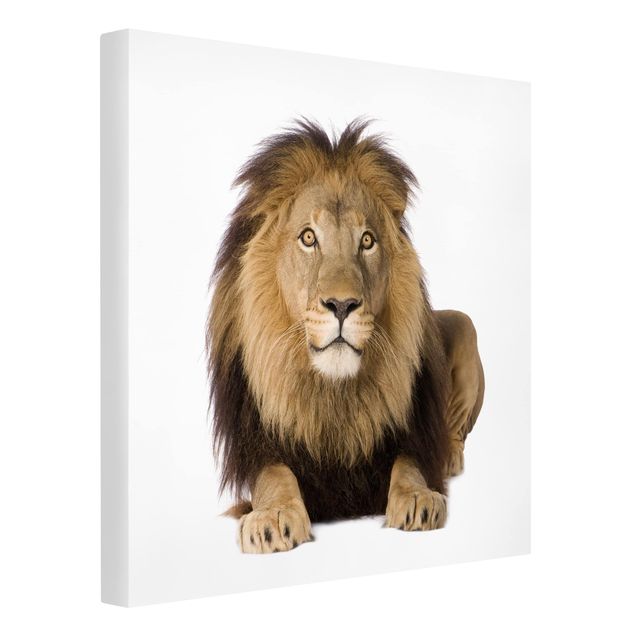 Tableau moderne Roi Lion II