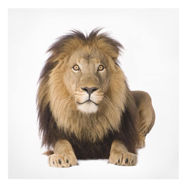 Tableau animaux Roi Lion II