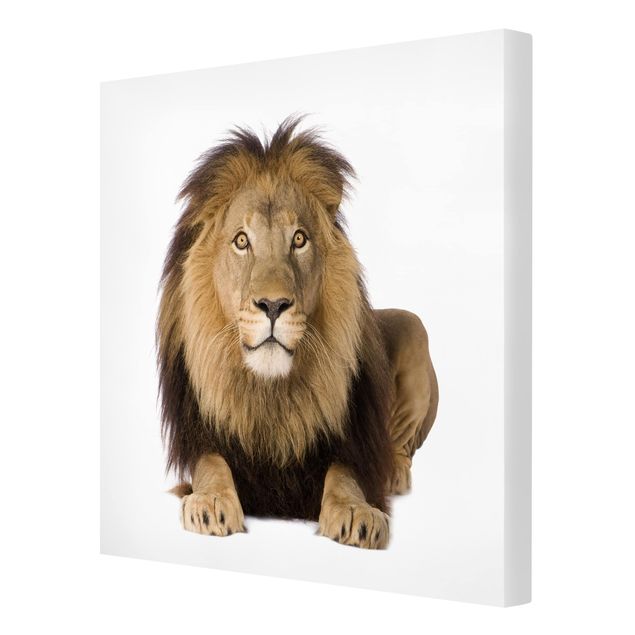 Tableau toile animaux Roi Lion II