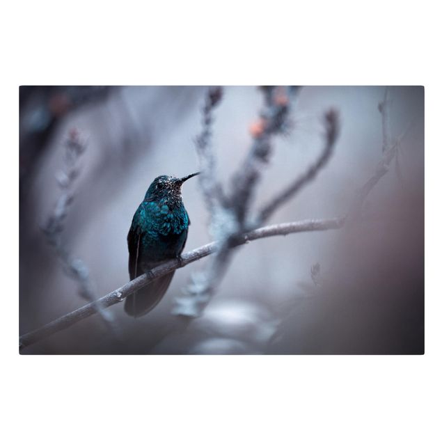 Tableau plume Colibri en hiver